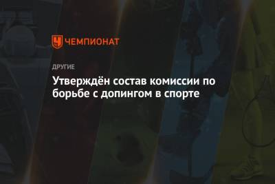 Михаил Мишустин - Сергей Вершинин - Олег Матыцин - Утверждён состав комиссии по борьбе с допингом в спорте - championat.com - Россия