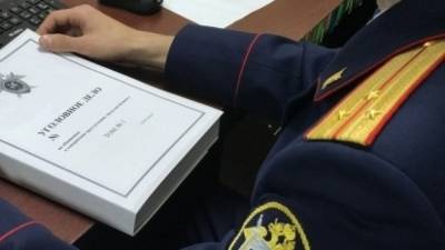 Александр Бастрыкин - СК возбудил дело о покушении на убийство после избиения молодого человека в метро Москвы - inforeactor.ru - Москва - Россия - Приморье край