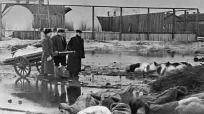 Германия будет платить пенсии евреям, пережившим блокаду Ленинграда - svoboda.org - Санкт-Петербург - Германия - Франция - Румыния