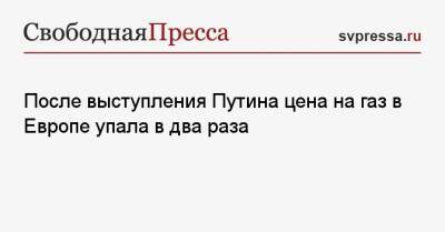 Владимир Путин - После выступления Путина цена на газ в Европе упала в два раза - svpressa.ru - Россия - США - Украина - Англия