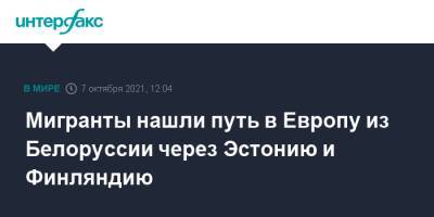 Мигранты нашли путь в Европу из Белоруссии через Эстонию и Финляндию - interfax.ru - Москва - Белоруссия - Эстония - Ирак - Польша - Литва - Финляндия - Минск - Латвия - Sanomat