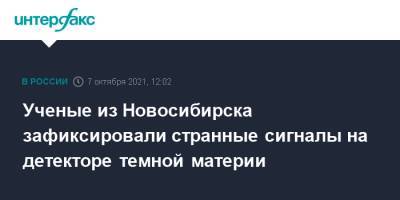 Ученые из Новосибирска зафиксировали странные сигналы на детекторе темной материи - interfax.ru - Москва - Новосибирск