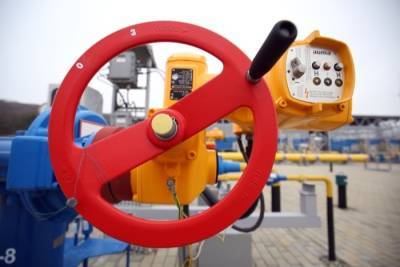 Сергей Густов - Уровень газификации РФ к 1 января 2022г составит 72,2% - гендиректор МРГ - interfax-russia.ru - Россия - Ленинградская обл. - окр.Сзфо