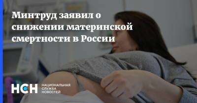Ольга Баталина - Минтруд заявил о снижении материнской смертности в России - nsn.fm - Россия