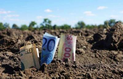Цена пая на Львовщине на 20% выше, чем в среднем по стране - agroportal.ua - Украина - Львовская обл.