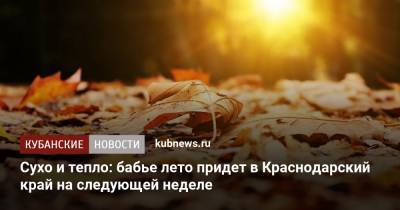 До +25 градусов: на следующей неделе в Краснодарский край придет бабье лето - kubnews.ru - Краснодарский край