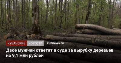 Двое мужчин ответят в суде за вырубку деревьев на 9,1 млн рублей - kubnews.ru - респ. Адыгея - Майкоп