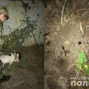 В центре Запорожья задержали закладчика наркотиков. Фото - reporter-ua.com - Запорожская обл. - Запорожье