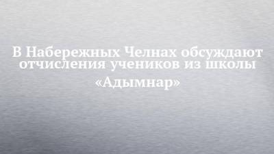 Минтимер Шаймиев - В Набережных Челнах обсуждают отчисления учеников из школы «Адымнар» - chelny-izvest.ru - Набережные Челны