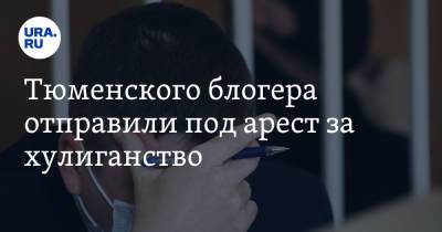 Тюменского блогера отправили под арест за хулиганство. Видео - ura.news - Тюмень - Тюменская обл.