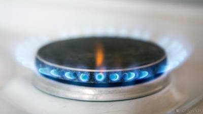 Елена Бурмистрова - Риск дестабилизации: в «Газпроме» оценили ситуацию с ценами на газ в Европе - newdaynews.ru