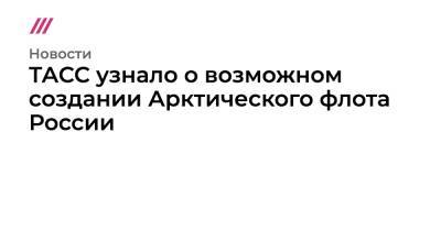 ТАСС узнало о возможном создании Арктического флота России - tvrain.ru - Россия