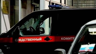 СК передал в суд дело о финансировании терроризма в отношении жителя Москвы - russian.rt.com - Москва - Россия - Сирия