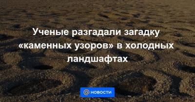 Ученые разгадали загадку «каменных узоров» в холодных ландшафтах - news.mail.ru - Китай - США - Япония - Голландия