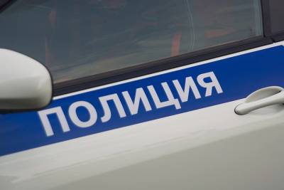 Пьяный пассажир дважды набросился на полицейских в аэропорту Новосибирска - vm.ru - Россия - Новосибирск - Челябинск