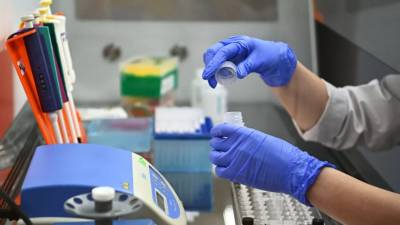 Биофизик Соседова рассказала о перспективах единой вакцины против гриппа и COVID-19 - russian.rt.com
