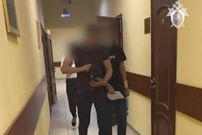 Обвиняемая в убийстве вожатой в подмосковном детском лагере признала свою вину - lenta.ru - Москва - Московская обл.