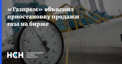 «Газпром» объяснил приостановку продажи газа на бирже - nsn.fm