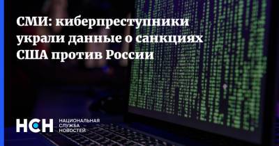 СМИ: киберпреступники украли данные о санкциях США против России - nsn.fm - Россия - США