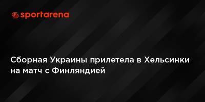 Хесус Хиль Мансано - Александр Петраков - Сборная Украины прилетела в Хельсинки на матч с Финляндией - sportarena.com - Украина - Киев - Львов - Финляндия - Хельсинки - Босния и Герцеговина