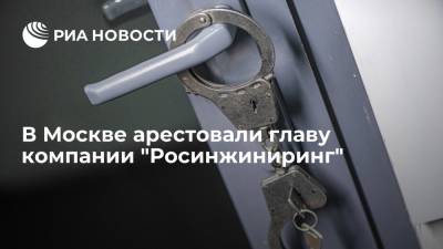 Дмитрий Новиков - Ирина Софинская - Главу компании "Росинжиниринг" арестовали по делу о мошенничестве - ria.ru - Москва - Россия