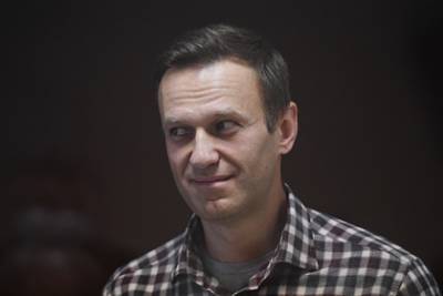 Алексей Навальный - Александр Шульгин - В России заявили о сокрытии Германией данных по Навальному - lenta.ru - Россия - Германия