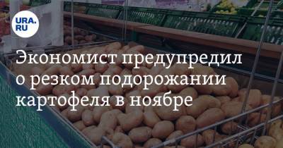 Экономист предупредил о резком подорожании картофеля в ноябре - ura.news - Россия