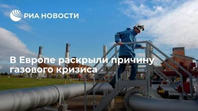 Владимир Путин - Николай Шульгинов - Гендиректор Linde Engineering Новицки: газовый кризис в Европе вызван ею самой - smartmoney.one - Россия - Украина - Германия