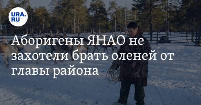 Аборигены ЯНАО не захотели брать оленей от главы района - ura.news - окр. Янао