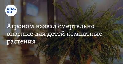 Агроном назвал смертельно опасные для детей комнатные растения - ura.news - Тула