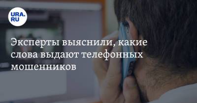 Эксперты выяснили, какие слова выдают телефонных мошенников - ura.news