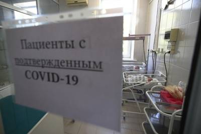 Лейла Адамян - В Минздраве России оценили риск осложнений при вакцинации от COVID-19 беременных - lenta.ru - Россия