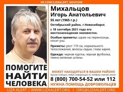 Неизвестные избили писателя из Новосибирска Михальцова до комы - sib.fm - Новосибирск