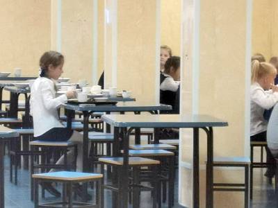 «Дают запеканку с плесенью, а вокруг бегают крысы»: дети рассказали, как и чем их кормят в школе под Новосибирском - rosbalt.ru - Новосибирск - Новосибирская обл.