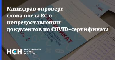 Маркус Эдерер - Минздрав опроверг слова посла ЕС о непредоставлении документов по COVID-сертификатам - nsn.fm - Москва - Россия