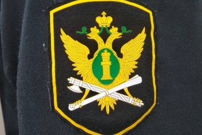 Жительница Алексина отправилась в колонию из-за неуплаты алиментов - tula.mk.ru - Россия - Тульская обл.