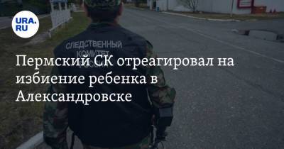 Пермский СК отреагировал на избиение ребенка в Александровске - ura.news - Россия - Пермь - Пермский край - Александровск