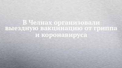В Челнах организовали выездную вакцинацию от гриппа и коронавируса - chelny-izvest.ru - респ. Татарстан - Набережные Челны