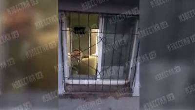 В подвале жилого дома в Иркутске обнаружили подозрительный хоспис - iz.ru - Израиль - Иркутск