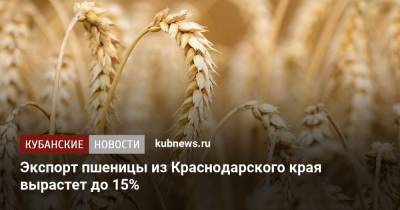Андрей Коробка - Экспорт пшеницы из Краснодарского края вырастет до 15% - kubnews.ru - Краснодарский край