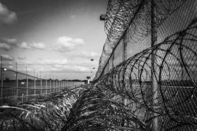 Колонии Санкт-Петербурга и Ленобласти попали в лидеры по пыткам - mk.ru - Россия - Ленинградская обл. - Санкт-Петербург - Нижегородская обл. - Костромская обл.