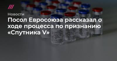 Марио Драги - Посол Евросоюза рассказал о ходе процесса по признанию «Спутника V» - tvrain.ru - Россия - Италия - Франция