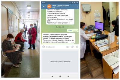 В поликлинике «не алё»: как вызвать врача на дом при коронавирусе через чат-бот в Telegram - sib.fm - Новосибирская обл.