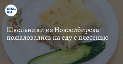 Школьники из Новосибирска пожаловались на еду с плесенью - ura.news - Новосибирск