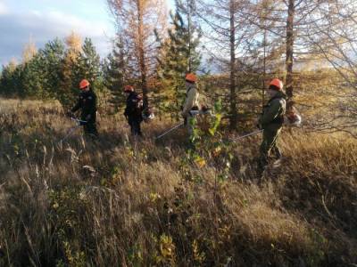 Коми лесопожарный центр сменил вид деятельности - komiinform.ru - респ. Коми