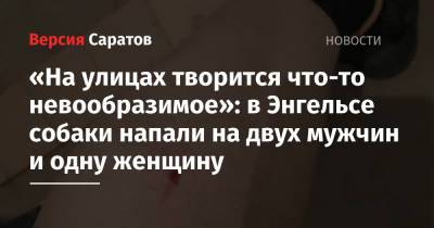 «На улицах творится что-то невообразимое»: в Энгельсе собаки напали на двух мужчин и одну женщину - nversia.ru - Саратовская обл.