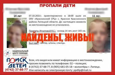 Пропавших брата с сестрой на дороге нашел водитель - lipetskmedia.ru - Россия - Липецкая обл.