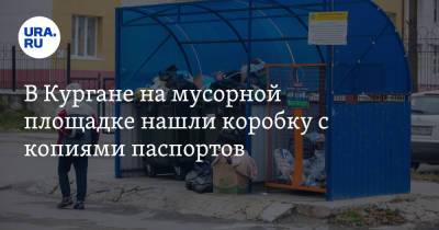 В Кургане на мусорной площадке нашли коробку с копиями паспортов - ura.news