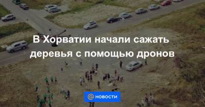 В Хорватии начали сажать деревья с помощью дронов - news.mail.ru - Хорватия
