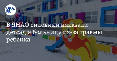 В ЯНАО силовики наказали детсад и больницу из-за травмы ребенка - ura.news - окр. Янао - Лабытнанги